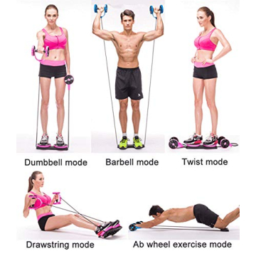 Buy Multi Function Double AB Roller Wheel for Home Gym