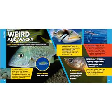 The Fascinating Ocean Book for Kids: 500 Incredible Facts! (Fascinating Facts)