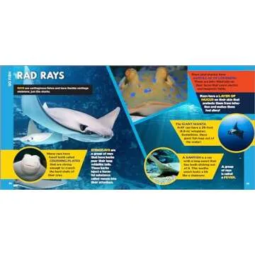 The Fascinating Ocean Book for Kids: 500 Incredible Facts! (Fascinating Facts)