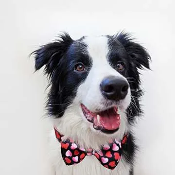 Valentine Holiday Dog Bow Tie Collar - Stylish & Durable