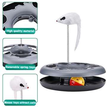 Cat Toys, Cat Toys for Indoor Cats,Interactive Kitten Toys Roller Tracks with Catnip Spring Pet Toy ...