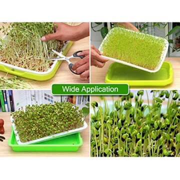 SHEING Seed Sprouter Germination Tray 5 Pack, BPA Free Nursery Healthy Wheatgrass Seeds Grower & Storage Trays for Garden Home Office