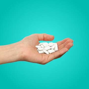 PUR Gum | Aspartame Free Chewing Gum | Natural Wintergreen Flavored with Xylitol | 55 Pieces (Pack o...