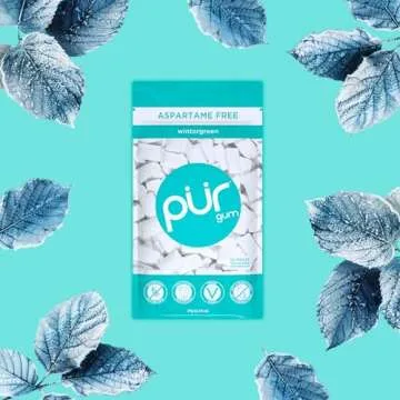 PUR Aspartame-Free Chewing Gum - Wintergreen Flavor