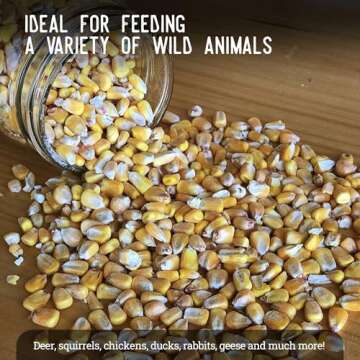 Ernst Grain Whole Corn – Perfect Feed for Deer, Squirrels, Chickens, Ducks, Rabbits, Geese, and Mo...