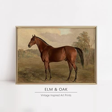 Equestrian Wall Decor Art Print for Horse Lovers Home