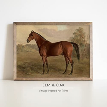 Equestrian Wall Decor Art Print for Horse Lovers Home