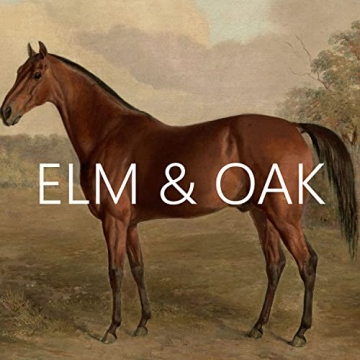 Equestrian Wall Decor Art Print for Horse Lovers Home