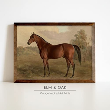 Equestrian Wall Decor Art Print for Horse Lovers Home