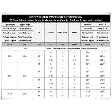 Selric Bear Super Chenille Microfiber Washable Mop Slippers Shoes for Women, Floor Dust Dirt Hair Cleaner, Multi-sizes Multi-Colors Available 9 7/9 Inches Size:5.5-8.5.