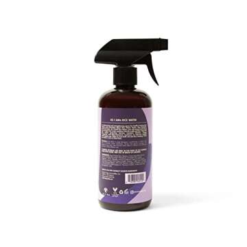 As I Am Hair Spray, Rice Water 16oz - with Forbidden Black Rice, Saw Palmetto, Biotin - Clean, Prote...