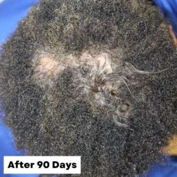 As I Am Hair Spray, Rice Water 16oz - with Forbidden Black Rice, Saw Palmetto, Biotin - Clean, Protein-Free Formula - Odor, Vegan & Cruelty Free - For All Hair Types