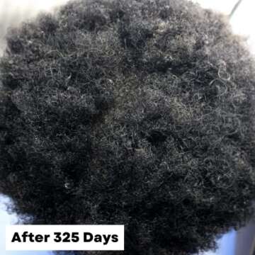 As I Am Hair Spray, Rice Water 16oz - with Forbidden Black Rice, Saw Palmetto, Biotin - Clean, Protein-Free Formula - Odor, Vegan & Cruelty Free - For All Hair Types