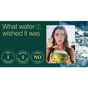 Zico 100% Coconut Water, NO added Sugar, Refreshingly Delicious, Hydration with Electrolytes, 16.9 Fl Oz (Pack of 12)