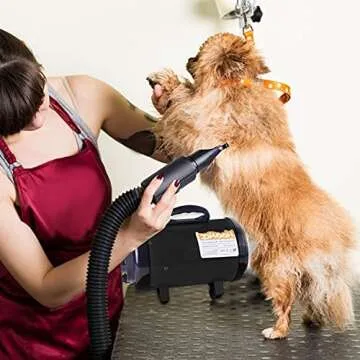 Adjustable High Velocity Dog Hair Dryer with Heater