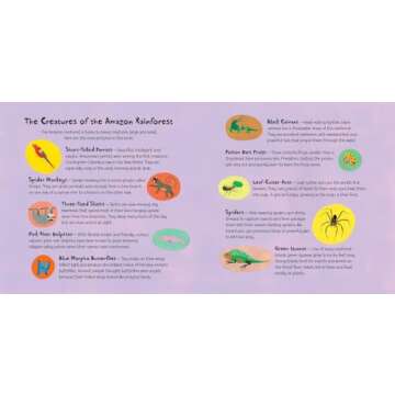 We're Roaming in the Rainforest