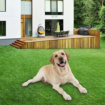 Premium Artificial Garden Grass for Indoor and Outdoor