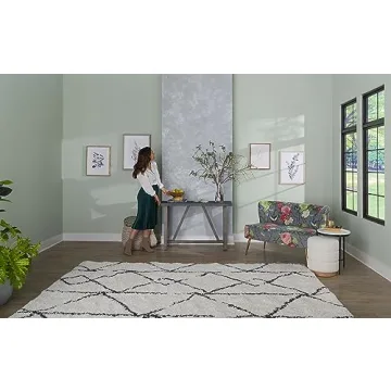 Rust-Oleum Concrete Interior Wall Paint for Modern Design