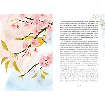 Explore The Language of Flowers With Beautiful Illustrations