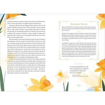 Explore The Language of Flowers With Beautiful Illustrations