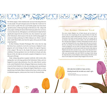 Explore The Language of Flowers With Beautiful Illustrations