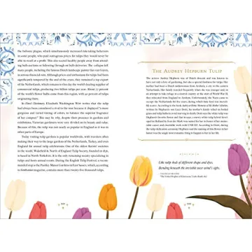 Explore The Language of Flowers With Beautiful Illustrations