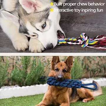 MLCINI Dog Toys Rope Dog Toys Dog Toy Set 14 Pack Dog Squeaky Ball Plush Dog Toys Nylon Dog Bone Dog Toys for Aggressive chewers for Small,Medium&Large Dogs