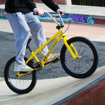 Eastern Paydirt 20-Inch Freestyle BMX Bike Overview