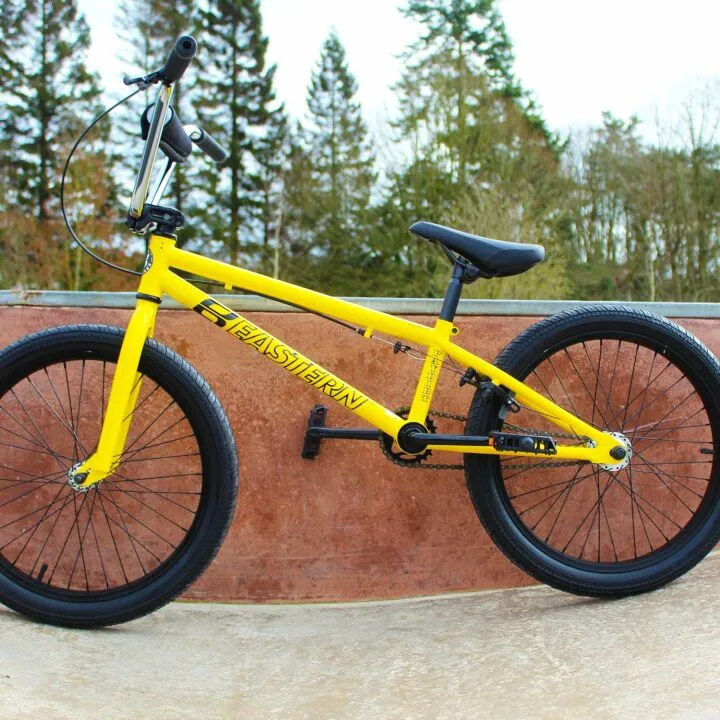 Eastern Paydirt 20-Inch Freestyle BMX Bike Overview