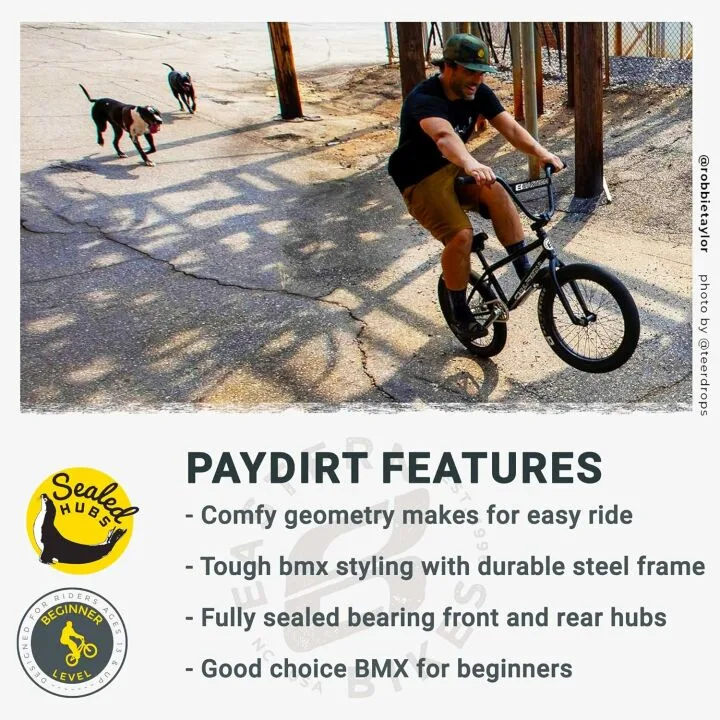 Eastern Paydirt 20-Inch Freestyle BMX Bike Overview
