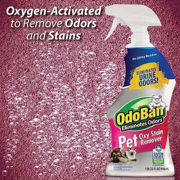 OdoBan Pet Solutions Oxy Stain Remover, Pet Stain Eliminator, 32 Ounce Spray