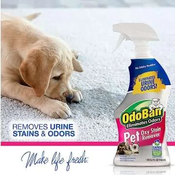 OdoBan Pet Solutions Oxy Stain Remover, Pet Stain Eliminator, 32 Ounce Spray