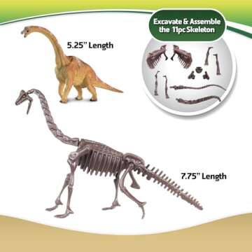 katz trimming / trims unlimited WowWorld: Dino Dig - Brachiosaurus - All-in-One Dinosaur Skeleton Excavation Kit, Tools & Construction Figurine, Educational Science Toy, Kids Ages 6+