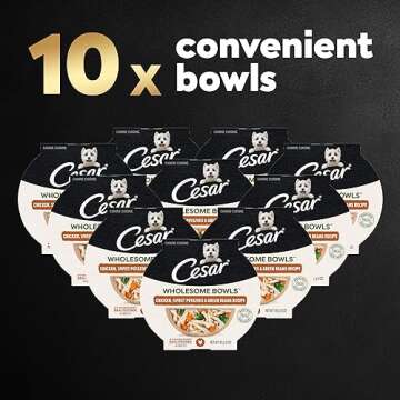 CESAR WHOLESOME BOWLS Adult Soft Wet Dog Food, Chicken, Sweet Potato & Green Beans Recipe, 3 oz., Pack of 10