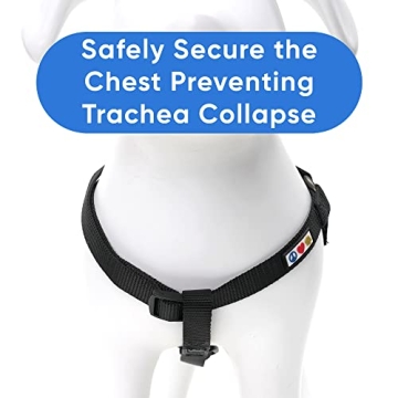 Pawtitas Solid Step-in Dog Harness for Small Dogs