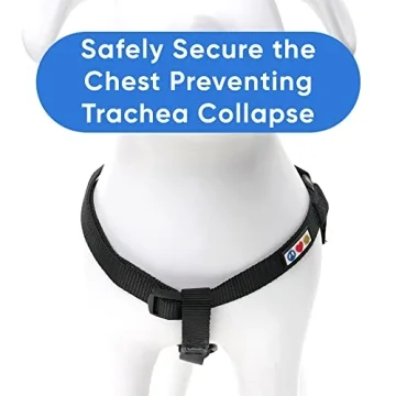 Pawtitas Solid Step-in Dog Harness for Small Dogs