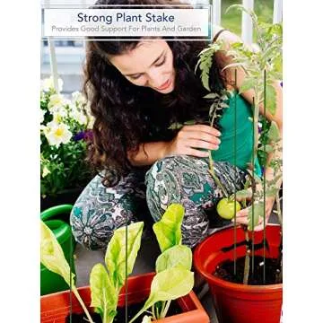 Royal Imports Green Wood Plant Stakes - 12 Inch Sturdy Picks