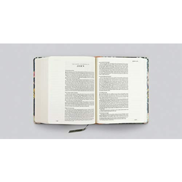 ESV Single Column Journaling Bible with Beautiful Artwork