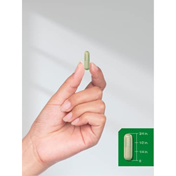 Boost Immunity with Horbäach Echinacea Extract Capsules