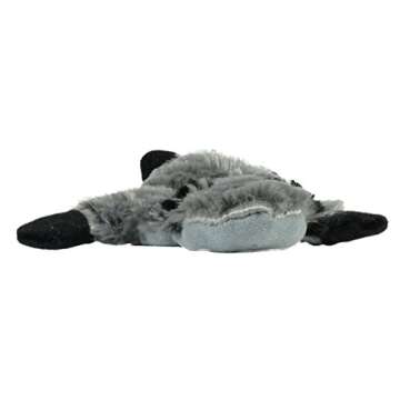 Hyper Pet Raccoon Stuffless Dog Toy - Squeaky Fun for Dogs