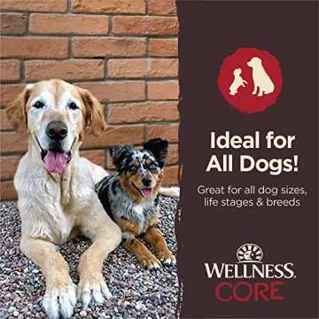 Grain-Free Wellness CORE Dog Treats, Made in USA