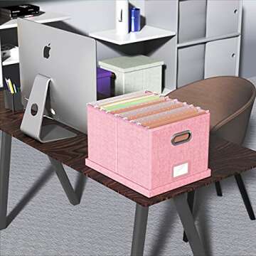 Oterri File Organizer Box,Filing Box with Lid,File Box for Letter/Legal File Folder Storage, Portable Hanging File Box for Office/Decor/Home,1 Pack,New-pink-Box only