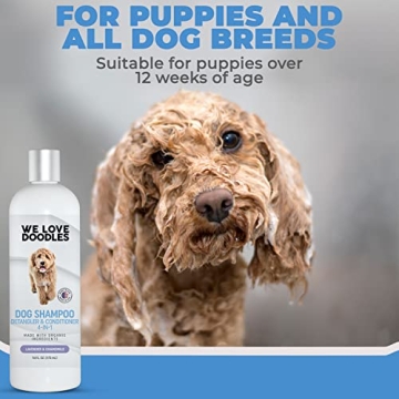 Organic Dog Shampoo for Goldendoodles - Safe & Effective