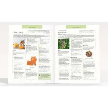 Ancient Remedies Revived: Herbal Wisdom for Everyone