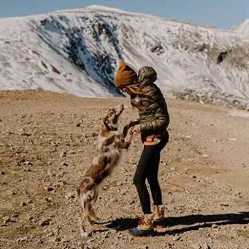 Wilderdog Utility Fanny Pack stores Treats, Balls, Keys in 3 Pockets with adjustable strap and Poop Bag dispenser (Huckleberry)