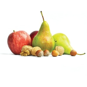 Jobe’s Organic Fertilizer for Fruit and Nut Plants 4 lbs