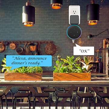 Maxonar Echo Dot Wall Mount Holder, Echo Dot Mount 3rd Generation Compatible with HomePod Mini, Clever Echo Dot Accessories with Built-in Cable Management Hide Messy Wires