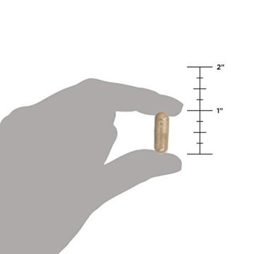 Ancient Nutrition Probiotics for Gut & Skin Health 50 Billion CFUs