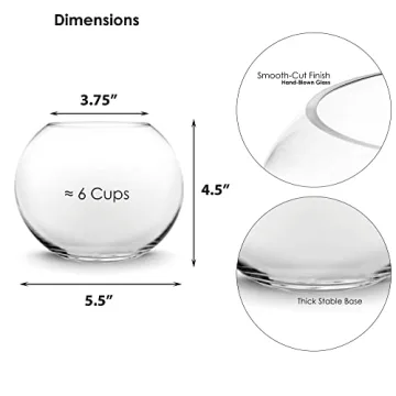 Hand-Blown Glass Bubble Vase Aquariums Terrariums Elegant