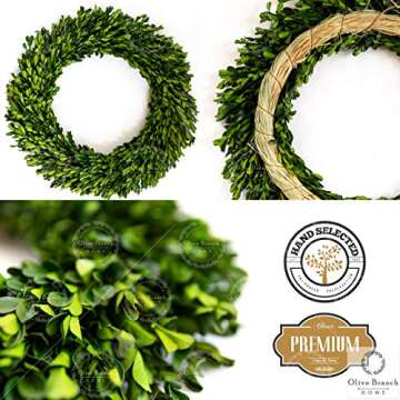 Olive Branch Home Preserved Boxwood Wreath With Gift Box, Large Indoor Year Round Green Wreath (20 Inch Round)